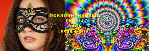 прущий лед Алексин