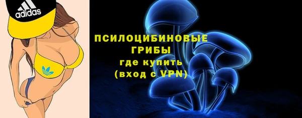 прущий лед Алексин